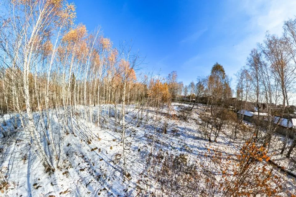 земля р-н Тюменский с Перевалово Сиреневая фото 1