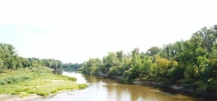 дом г Брянск п Большое Полпино посёлок Снежка р-н Володарский Квартал Снежетьское лесничество фото 4