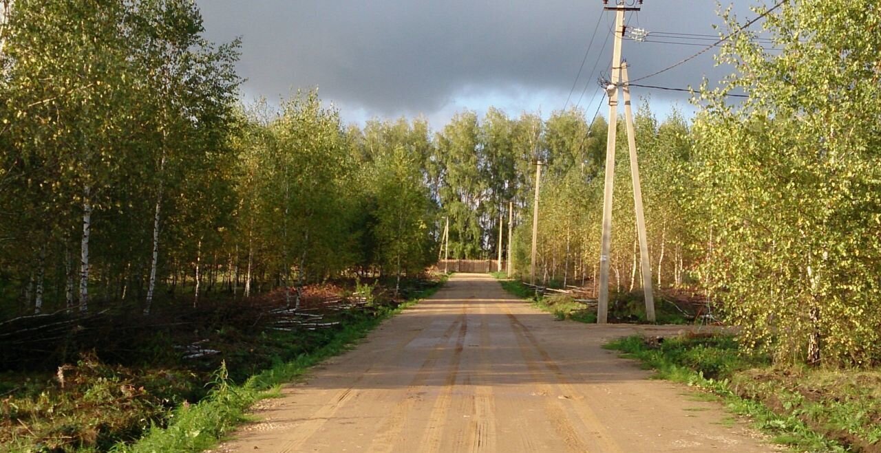 земля р-н Ясногорский с Башино 98 км, Иваньковское, Московская область, Кашира, муниципальное образование, направление Павелецкое (юго-<текст-удален>, Каширское шоссе фото 9