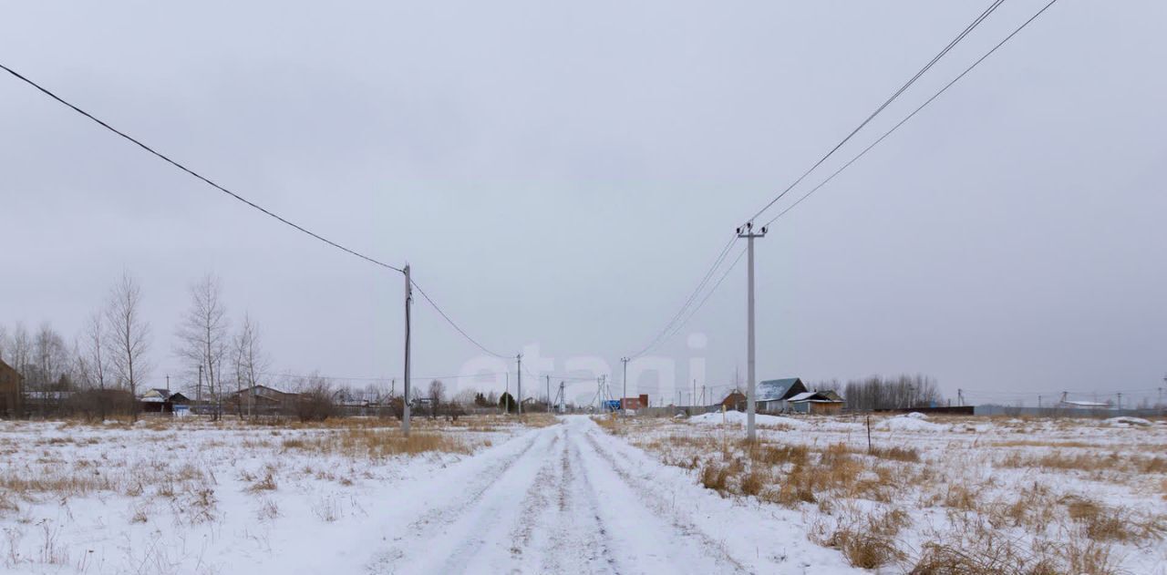 земля р-н Тюменский с Борки ул Луговая фото 12