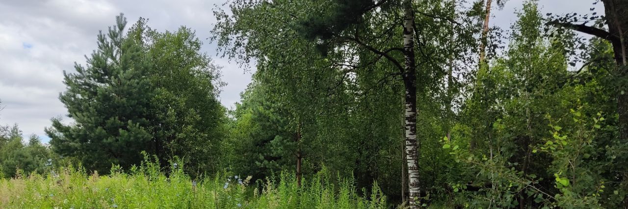 земля городской округ Щёлково д Мишнево ул Советская фото 2