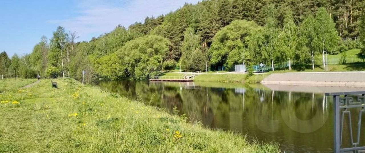 дом городской округ Домодедово д Ильинское Фаворит кп, Домодедовская фото 30