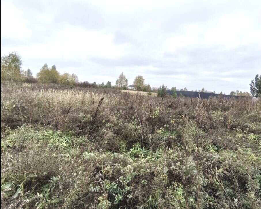 земля городской округ Раменский 29 км, коттеджный пос. Дергаево-3, Раменское, Егорьевское шоссе фото 3