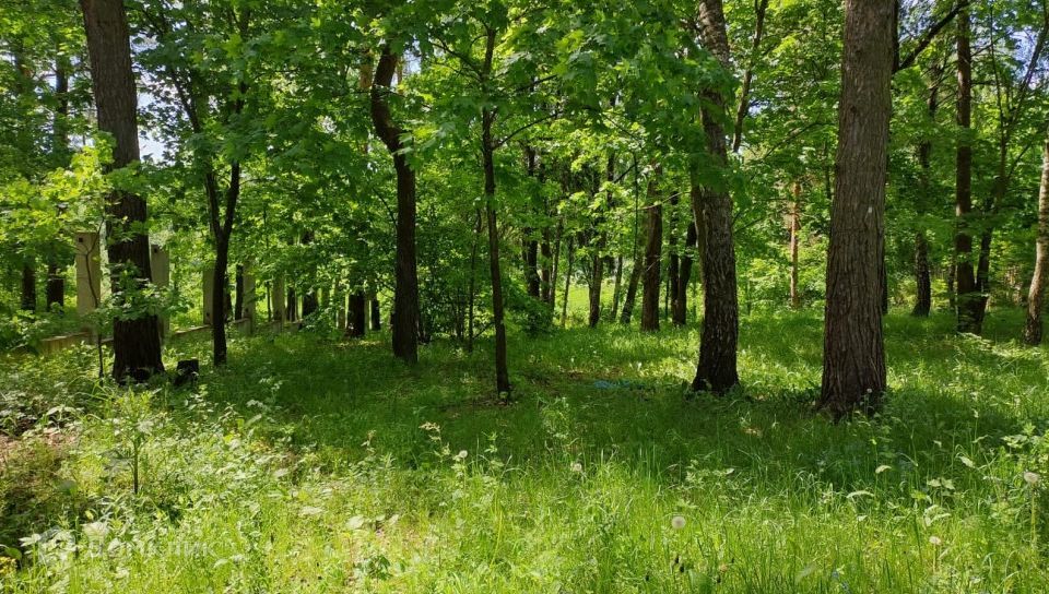 земля городской округ Истра д Веледниково ул Усадебная фото 2