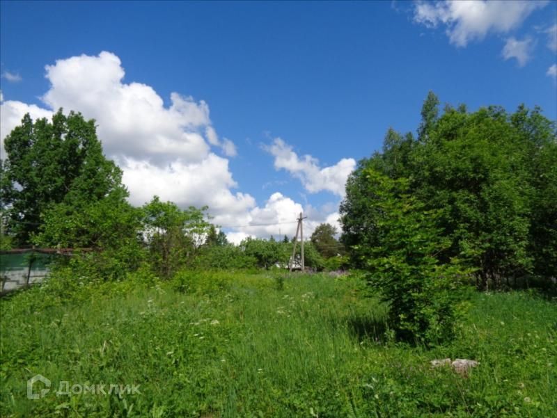 земля р-н Лужский д. Малая Ящера фото 1