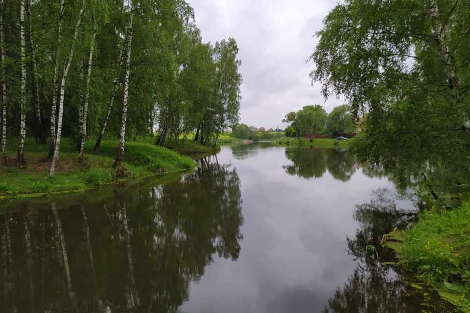 земля г Домодедово Ильинская Слобода, Домодедово городской округ фото 4