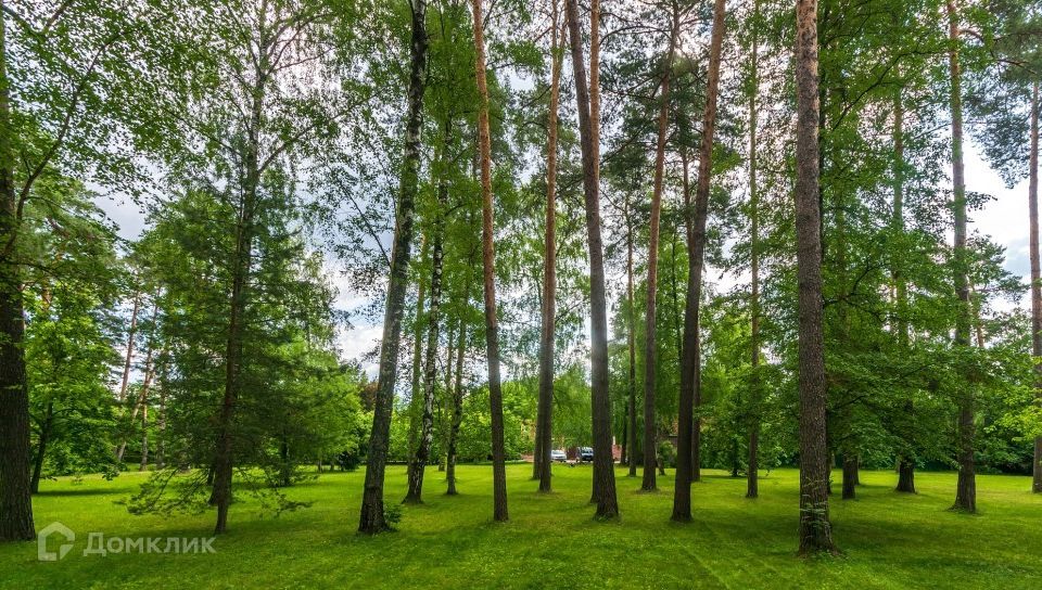 земля городской округ Мытищи с. Троицкое фото 7