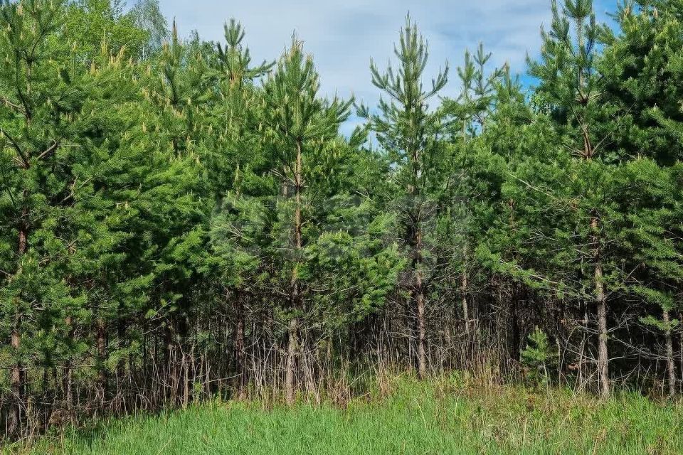 земля городской округ Одинцовский с. Успенское фото 10