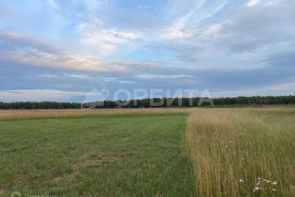 земля р-н Тюменский с Каменка Менделеева улица фото 2