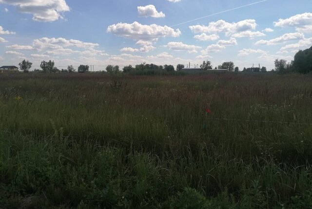 земля городской округ Воскресенск, дачный посёлок Чайка фото