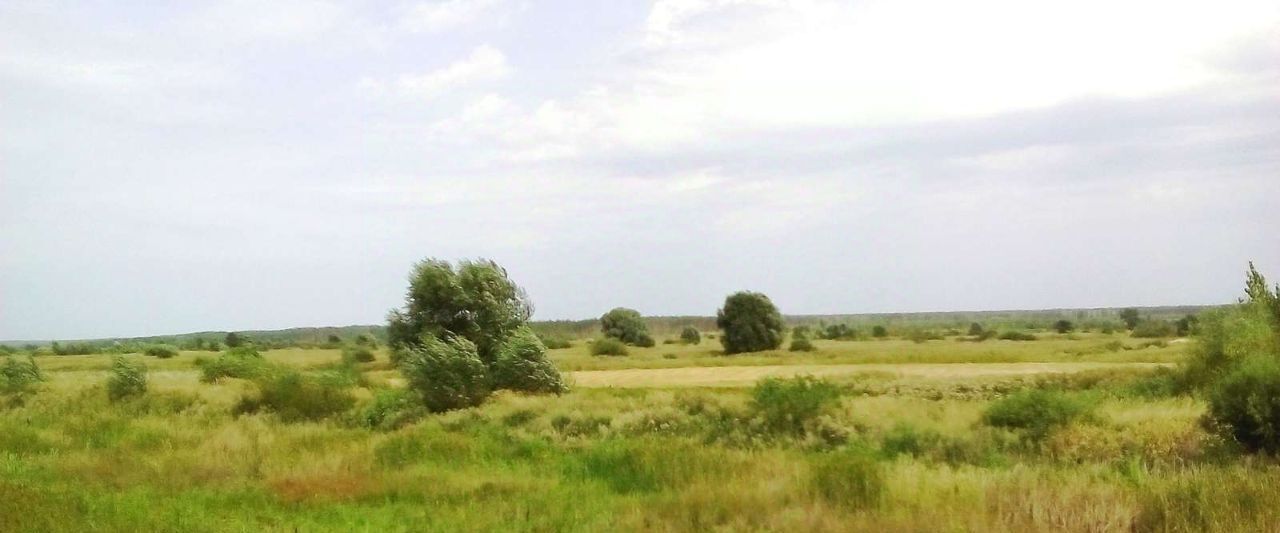 офис г Воронеж р-н Железнодорожный ул Степанова микрорайон «Боровое» фото 1