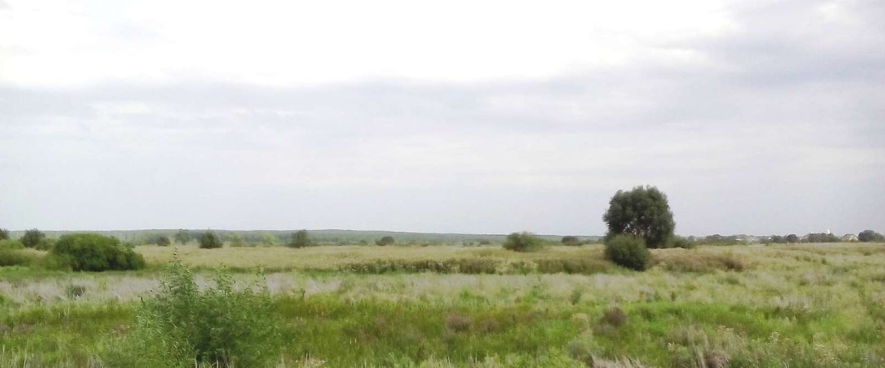 офис г Воронеж р-н Железнодорожный ул Степанова микрорайон «Боровое» фото 14