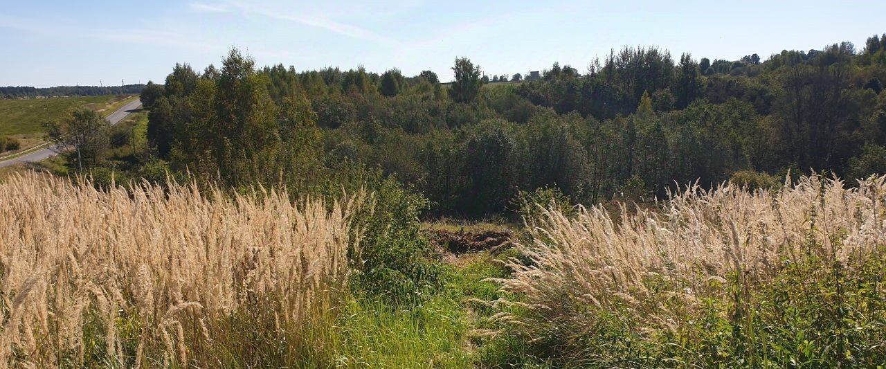 офис городской округ Сергиево-Посадский д Махра фото 1