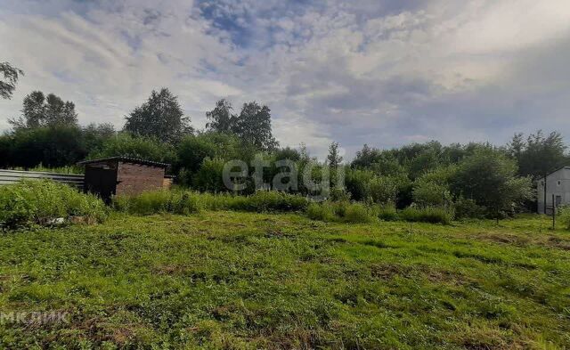 земля СНТ Тальник фото