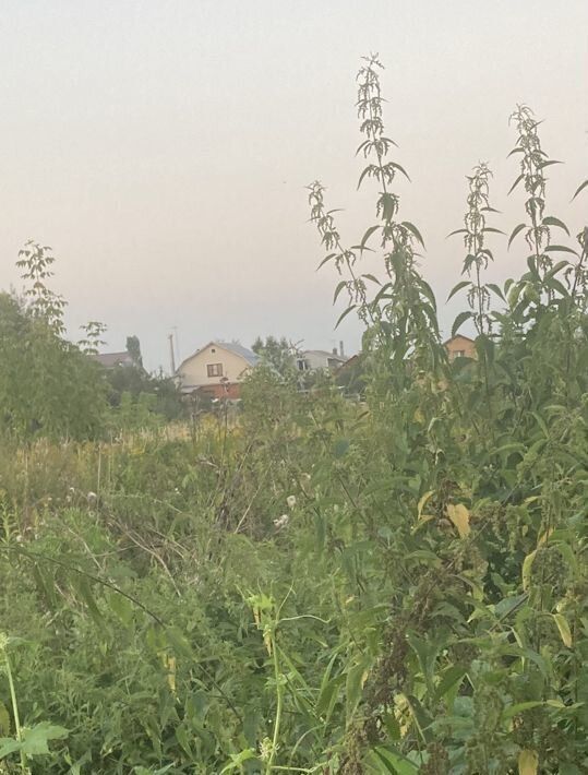 земля городской округ Раменский д Кулаково ул. Центральная фото 1