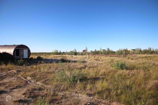 г Новый Уренгой Новый Уренгой городской округ, ДНТ Виктория фото