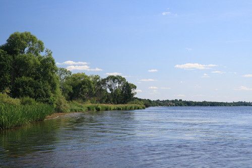 Белое фото