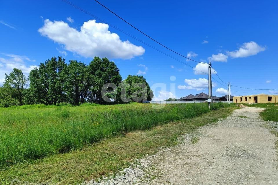 земля Тула городской округ, Медвенка фото 2