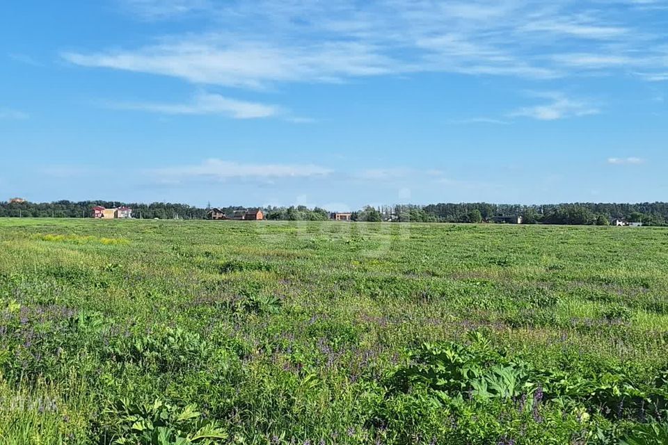 земля муниципальное образование Новомосковск, Новомосковск фото 6