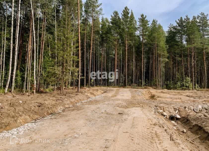 земля р-н Всеволожский СОСН Раздолье, Смородиновая, 3 фото 2