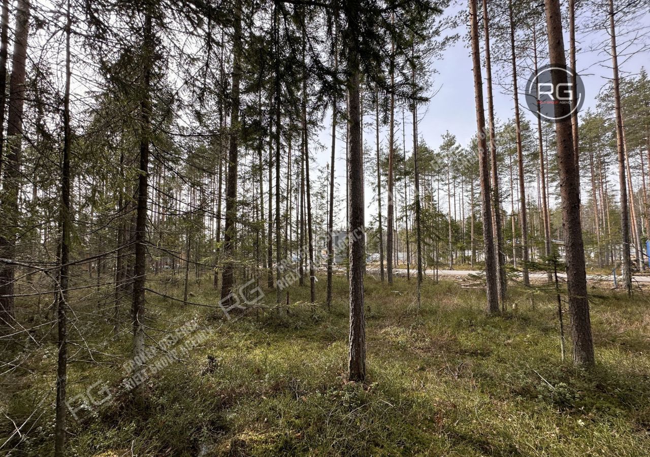 земля р-н Всеволожский тер История Парк ул Петровская Приозерское шоссе, 21 км, Агалатовское сельское поселение, Агалатово, дачное некоммерческое партнерство фото 6