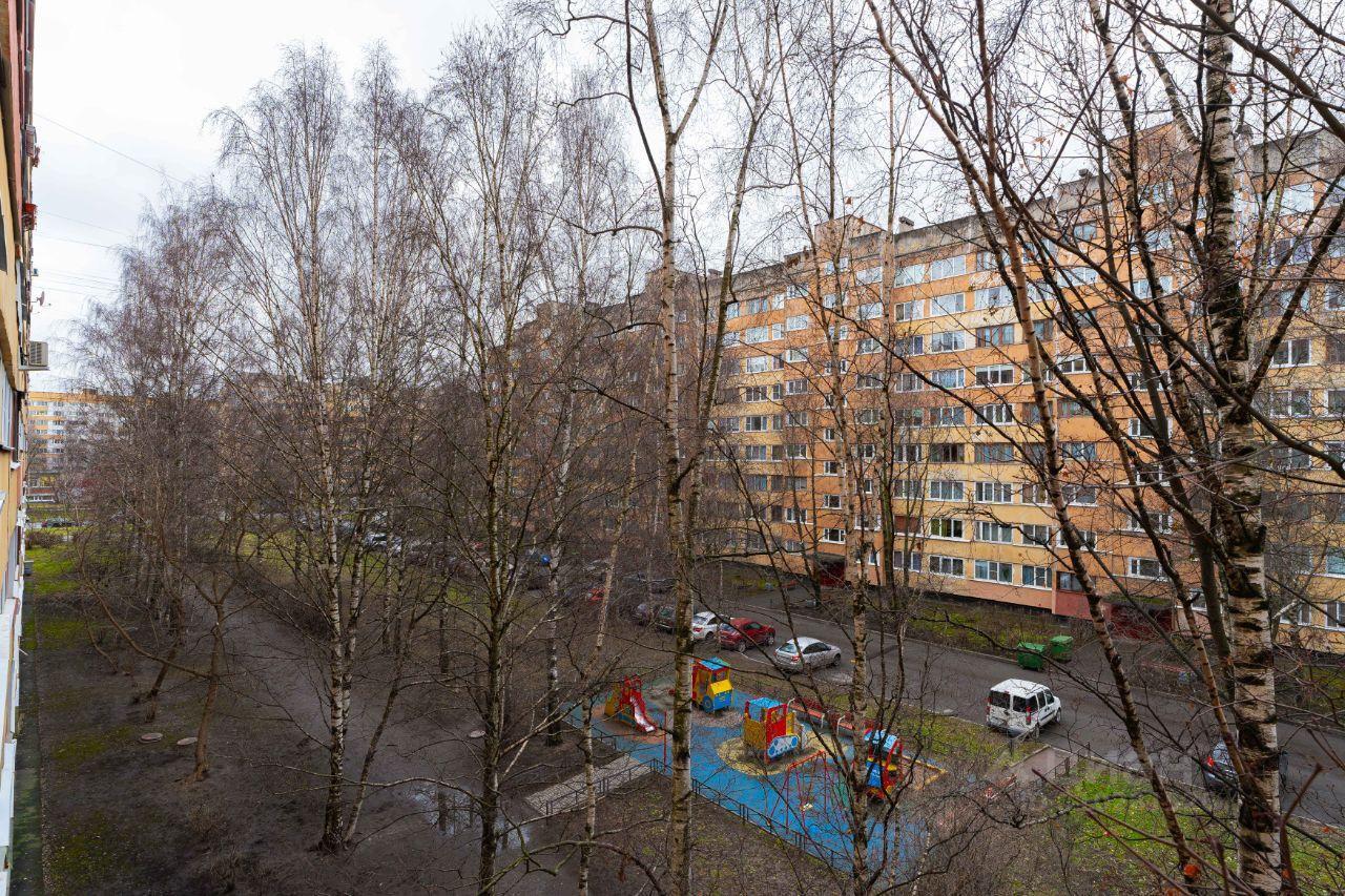 квартира г Санкт-Петербург пр-кт Кузнецова 23/1 Ленинградская область фото 35