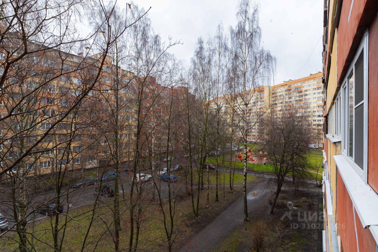 квартира г Санкт-Петербург пр-кт Кузнецова 23/1 Ленинградская область фото 34