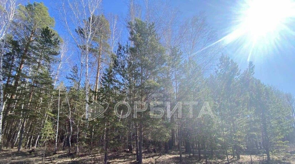 земля г Тюмень р-н Ленинский Мыс ул Ушакова фото 1