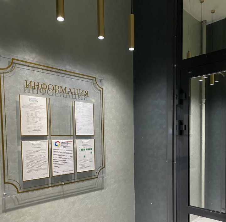 квартира г Красноярск р-н Советский ул Петра Ломако 12 микрорайон «Преображенский» Преображенский микрорайон фото 39