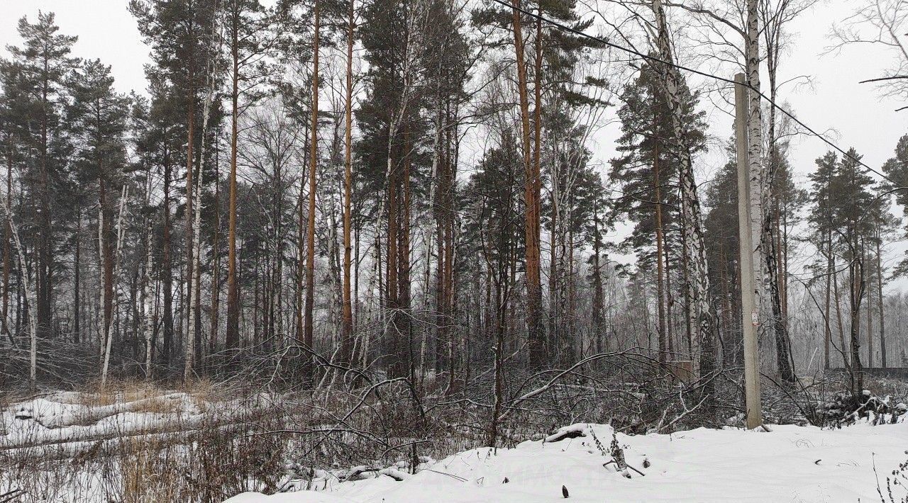земля г Полевской с Курганово фото 6