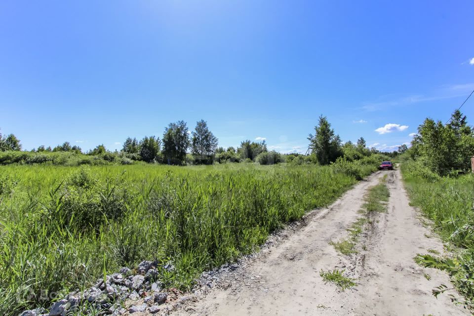 земля г Тюмень снт Поле чудес-2 ул Садовая Тюмень городской округ фото 2