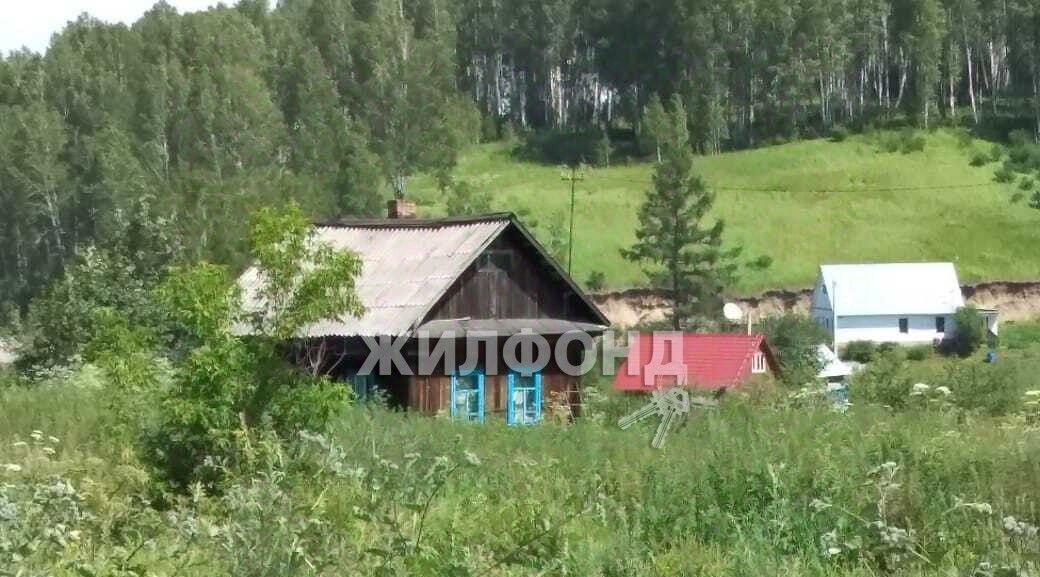 дом р-н Новосибирский с Гусиный Брод ул Железнодорожная Раздольненский сельсовет фото 1