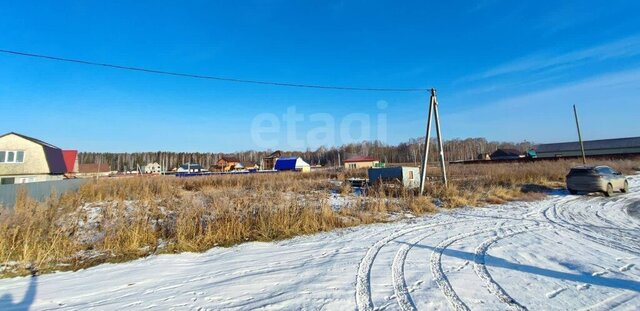 ул Трактовая Новотарманское сельское поселение фото