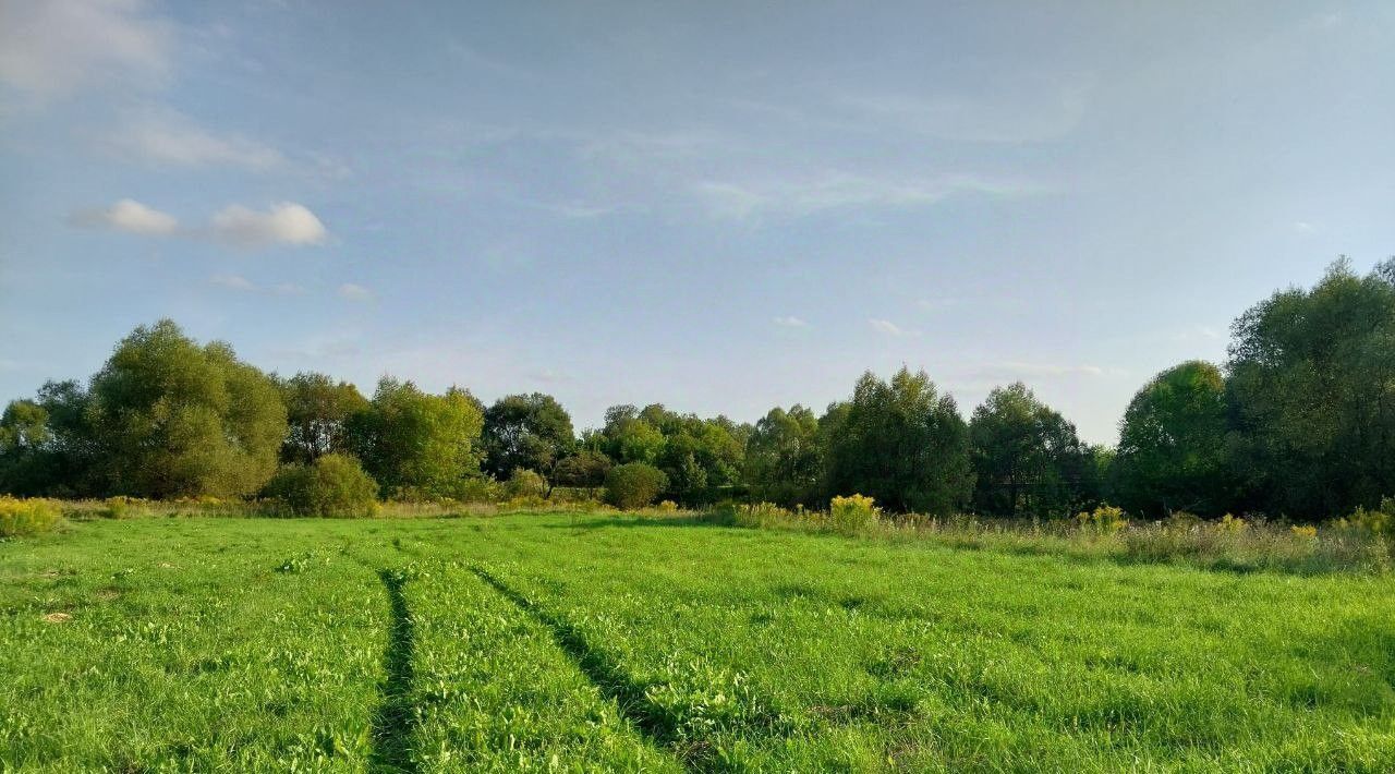 земля р-н Орловский д Медведево ул Алексеевская фото 1