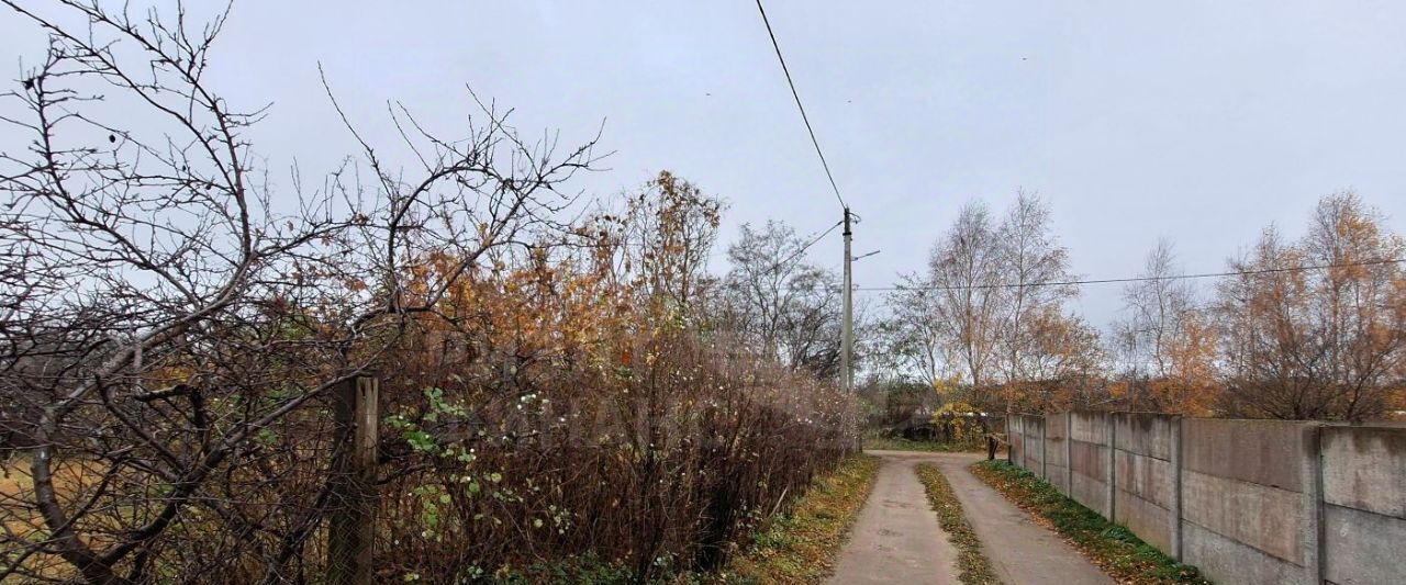 земля р-н Светлогорский г Светлогорск ул Рябиновая 2 фото 3