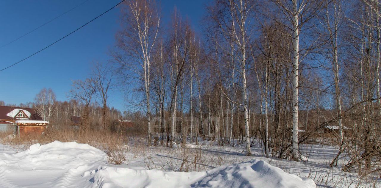 земля р-н Нижнетавдинский снт Ромашка фото 10