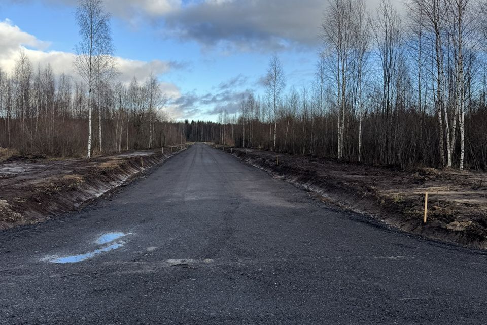 земля р-н Всеволожский фото 1