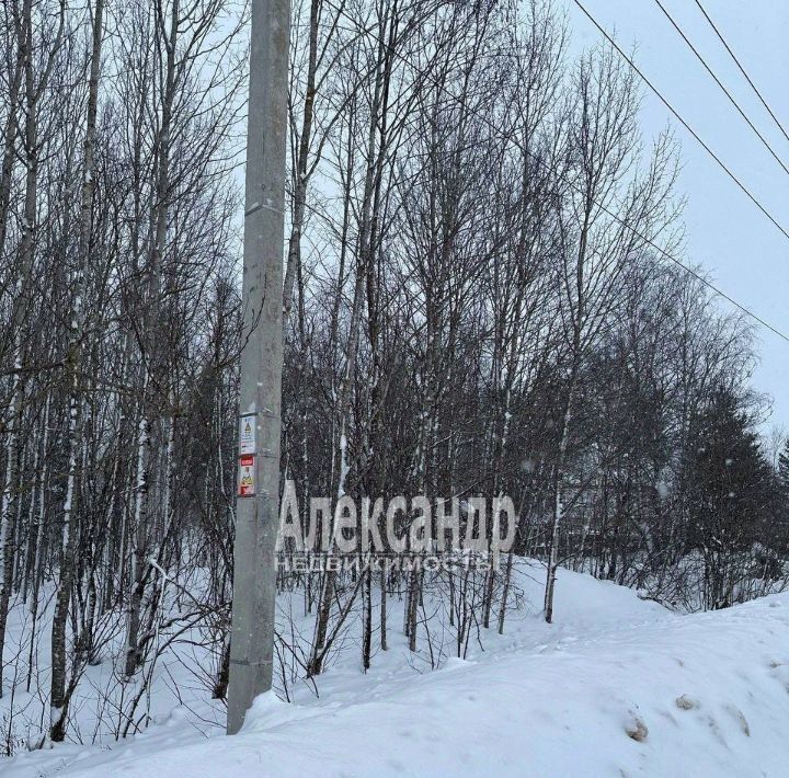 земля р-н Бокситогорский д Самойлово ул Центральная Самойловское с/пос фото 6