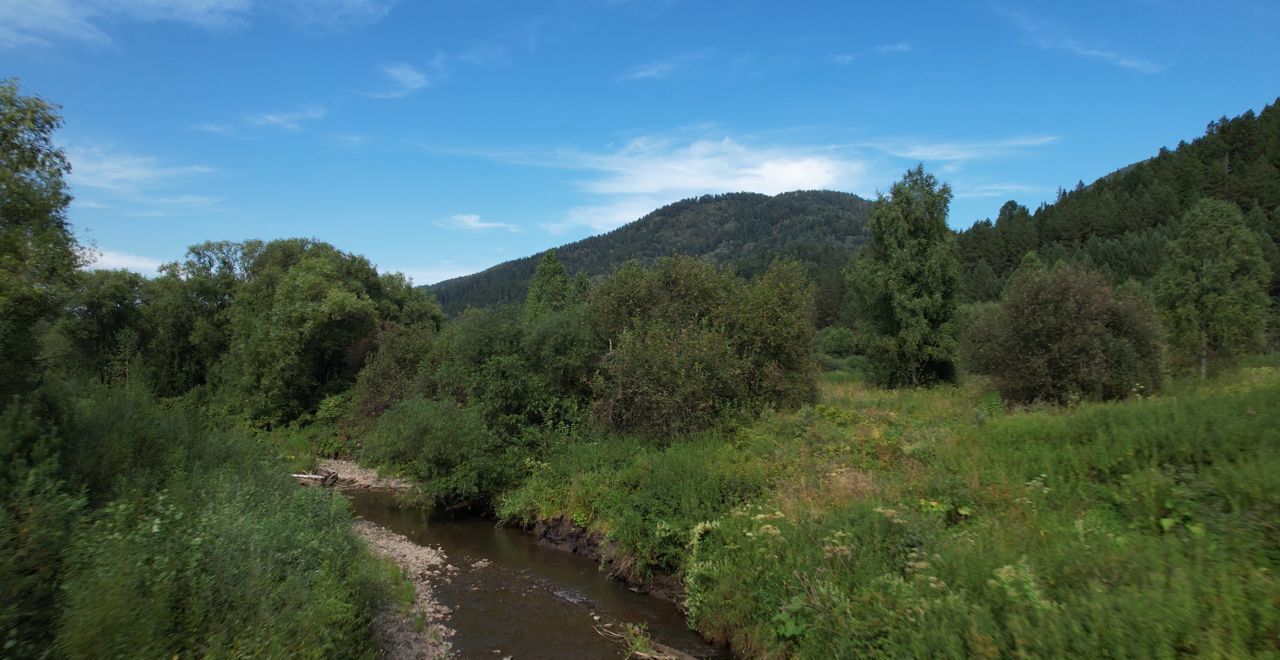 земля р-н Чойский с Кара-Торбок Горно-Алтайск фото 11