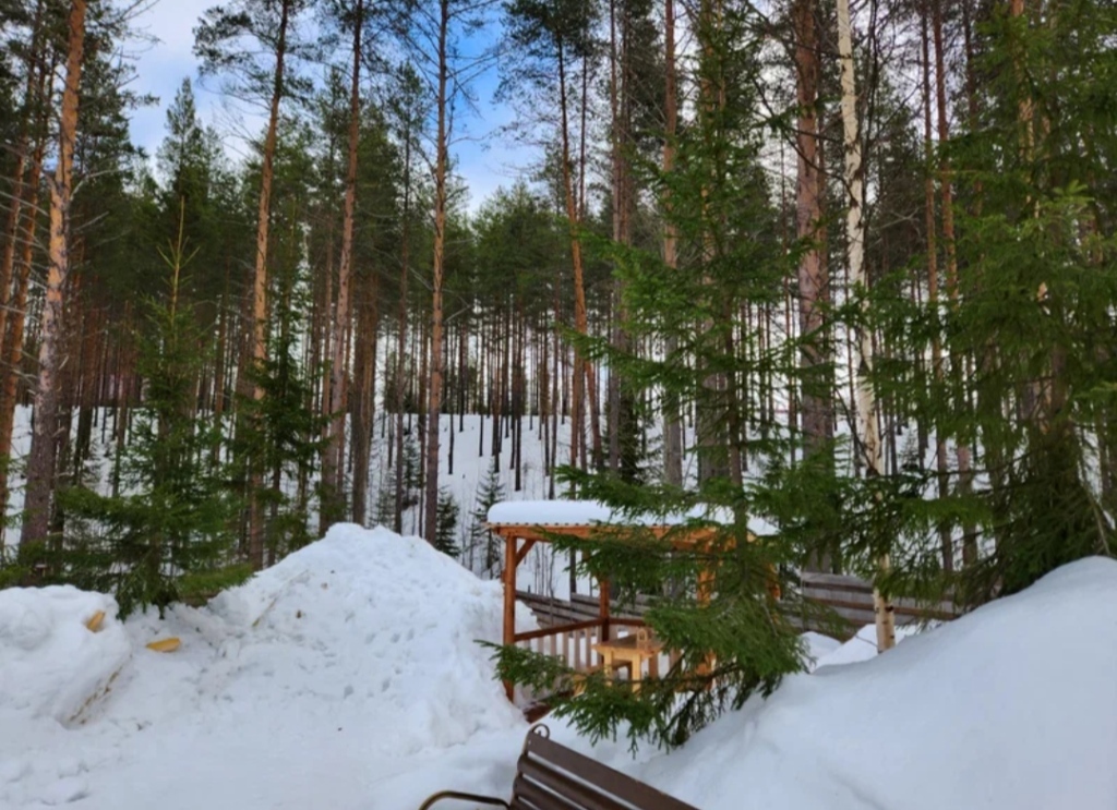 дом р-н Медвежьегорский г Медвежьегорск Медвежьегорское городское поселение фото 31