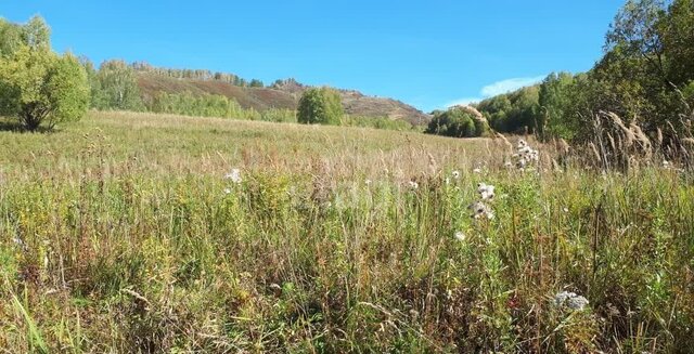 земля с Шумиха ул Верхняя Тогул фото