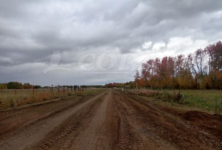 земля р-н Тюменский коттеджный пос. Новокаменский, Тюмень фото 7