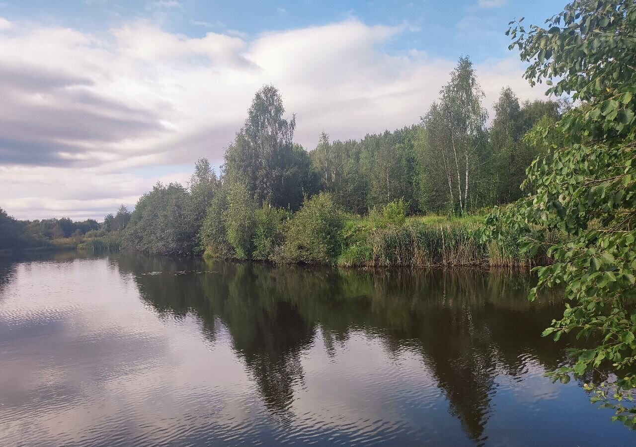 земля направление Белорусское (запад) ш Минское 14 км, 46К-9341, Красногорск фото 17