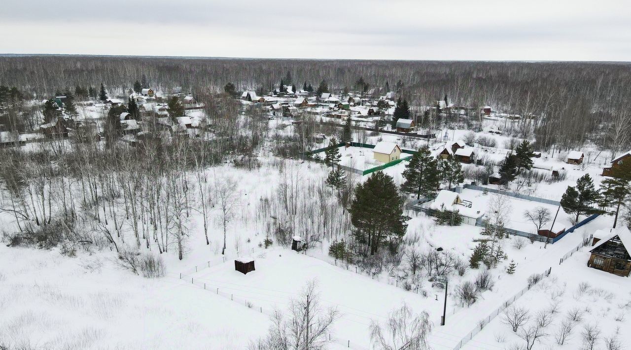 земля р-н Тюменский снт Лесник-2 фото 3