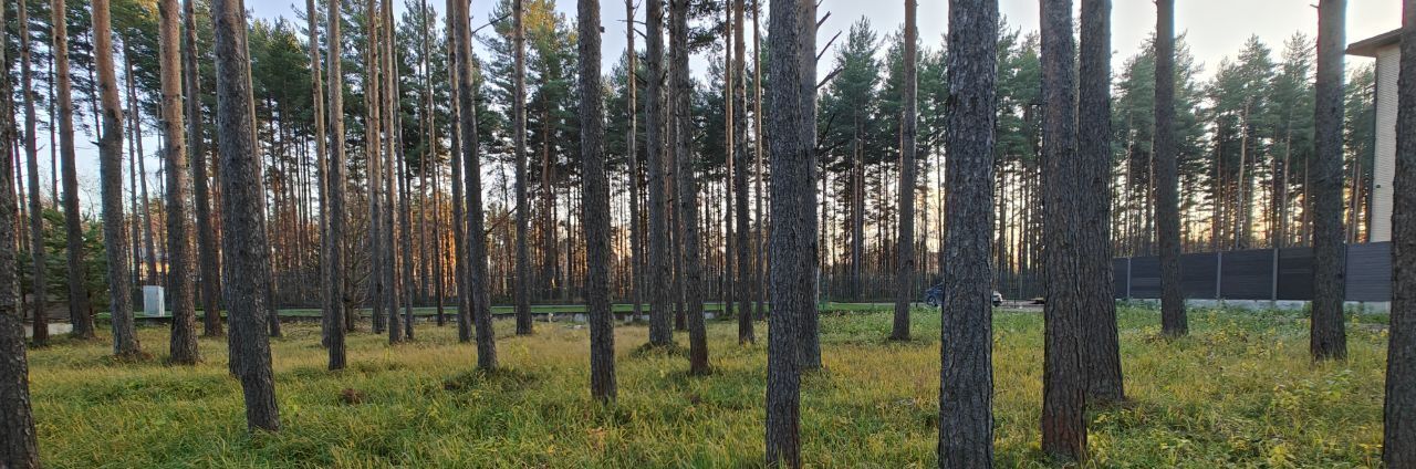 дом р-н Всеволожский поселок Охтинский парк Бугровское городское поселение, Парнас, д. Энколово фото 4