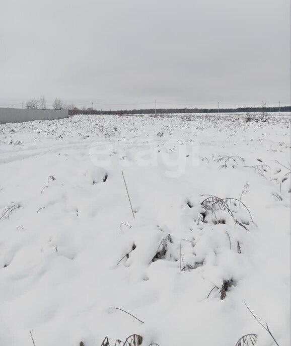 земля р-н Брянский с Толмачево ул Слободская фото 4