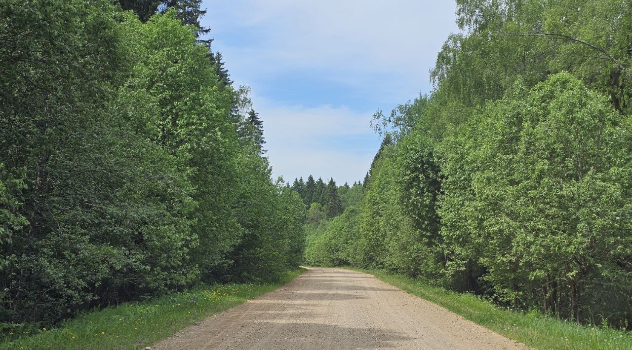 дом городской округ Дмитровский с Вороново фото 5