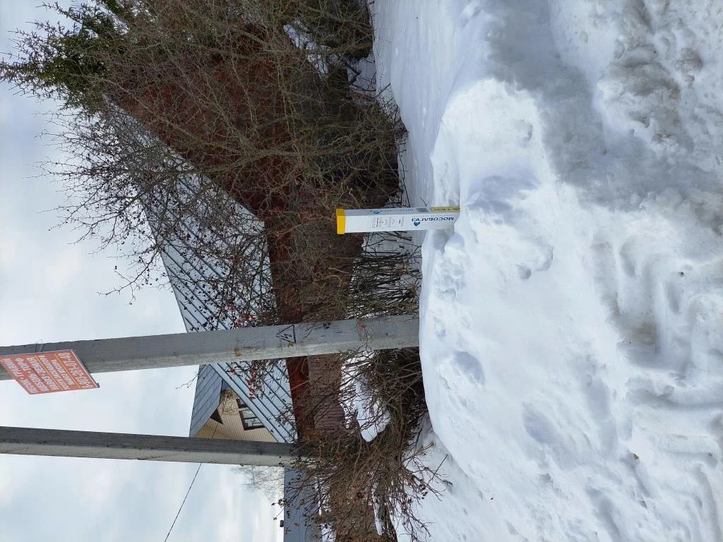 земля городской округ Солнечногорск д Погорелово погорелово, Ленинградское фото 6