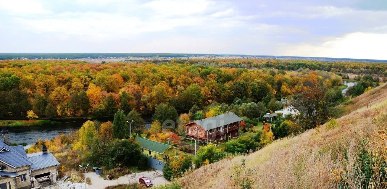 земля р-н Рамонский д Писаревка ул Центральная Карачунское с/пос фото 28