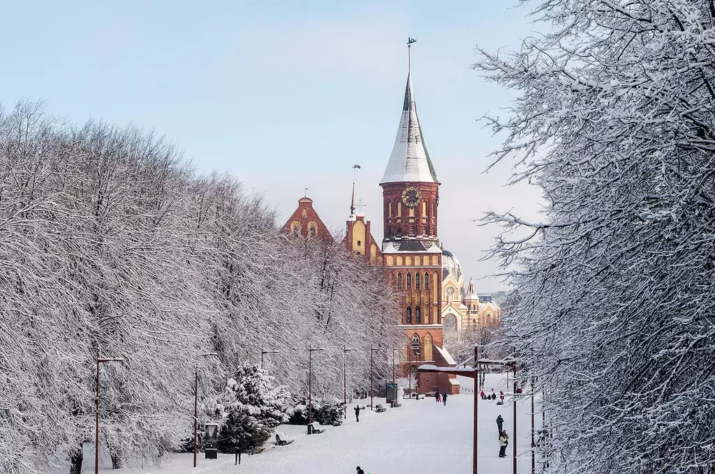 квартира р-н Зеленоградский г Зеленоградск проезд Балтийский 2 фото 16